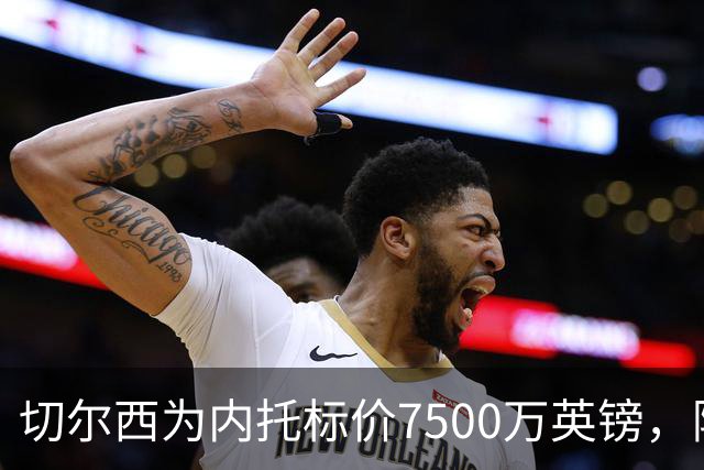 切尔西为内托标价7500万英镑，阿森纳恐难接受